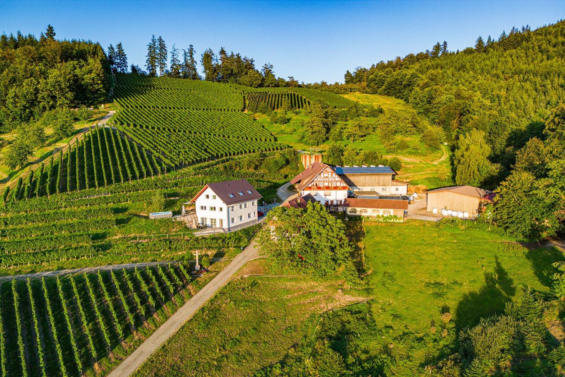 Paradieshof Lautenbach Exterior foto